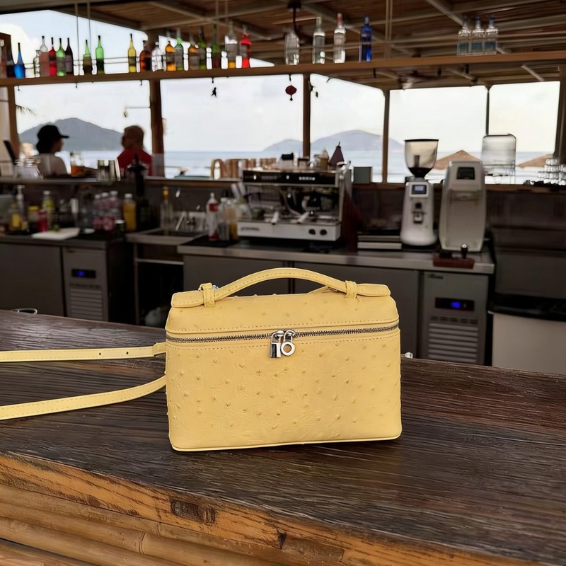 타조 가죽 숄더 미니백 여성 명품 다용도 런치/화장품/ - Luxury Bags Jacquemus 리뷰 및 가격